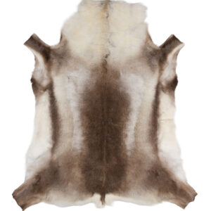 Extra Large Siberian Reindeer Hide R1305