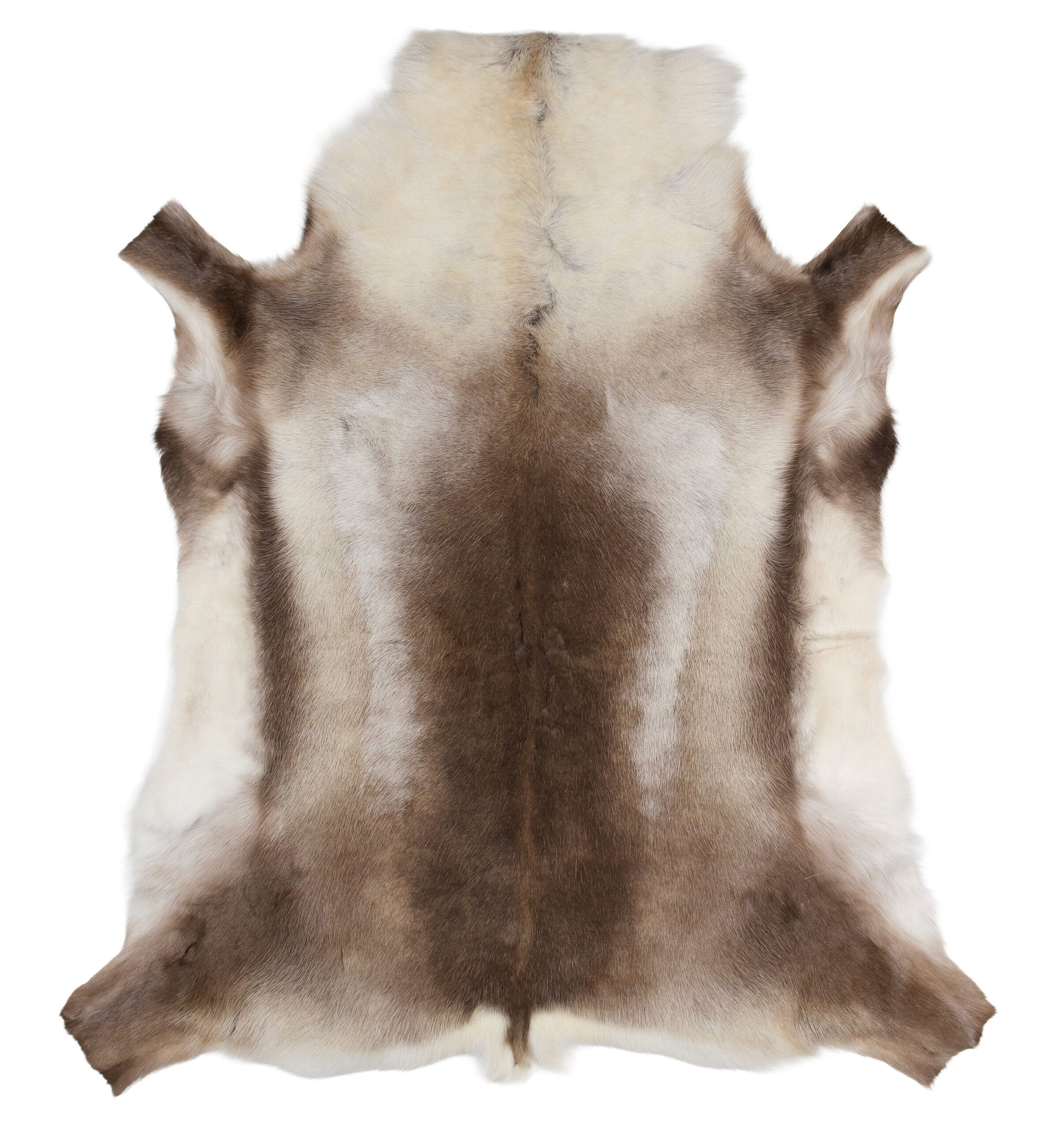 Extra Large Siberian Reindeer Hide R1305